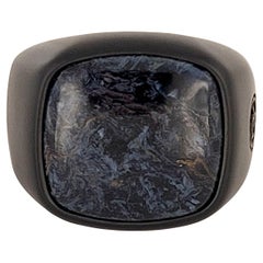 Anillo para hombre David Yurman de piedra exótica con pietersita en titanio negro