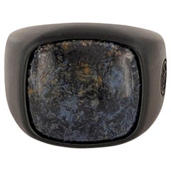 David Yurman Men's Exotic Stone Ring with Pietersite in Black Titanium