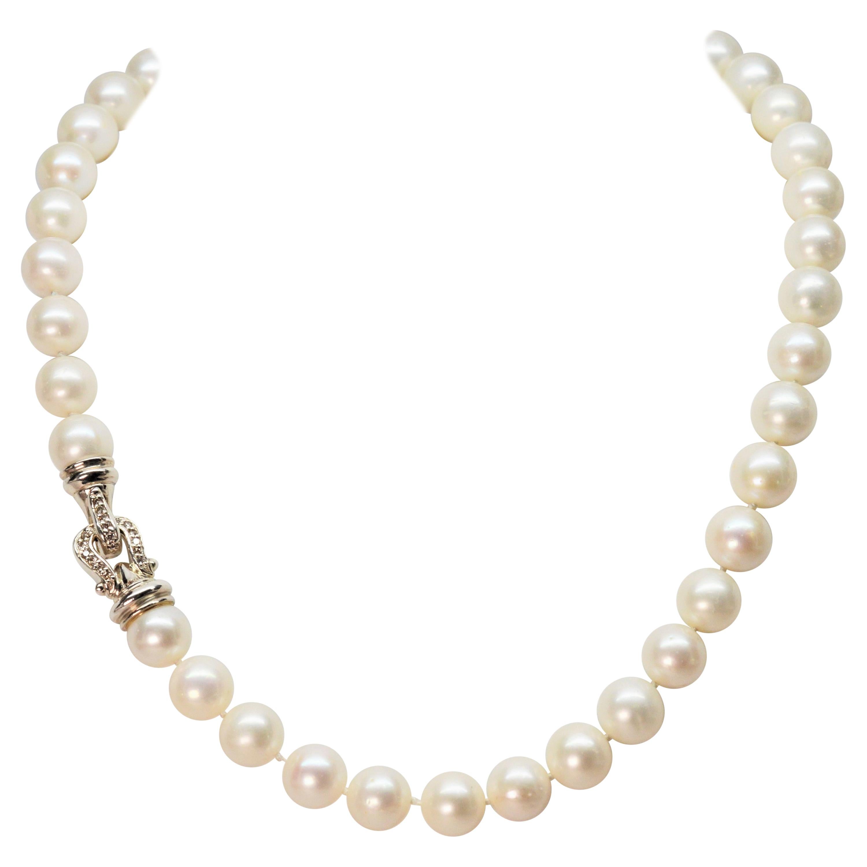 David Yurman Pearl Necklace with Diamond Accented Sterling Buckle Clasp