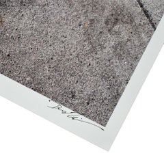 David Zinn Drip Drinking Squirrel