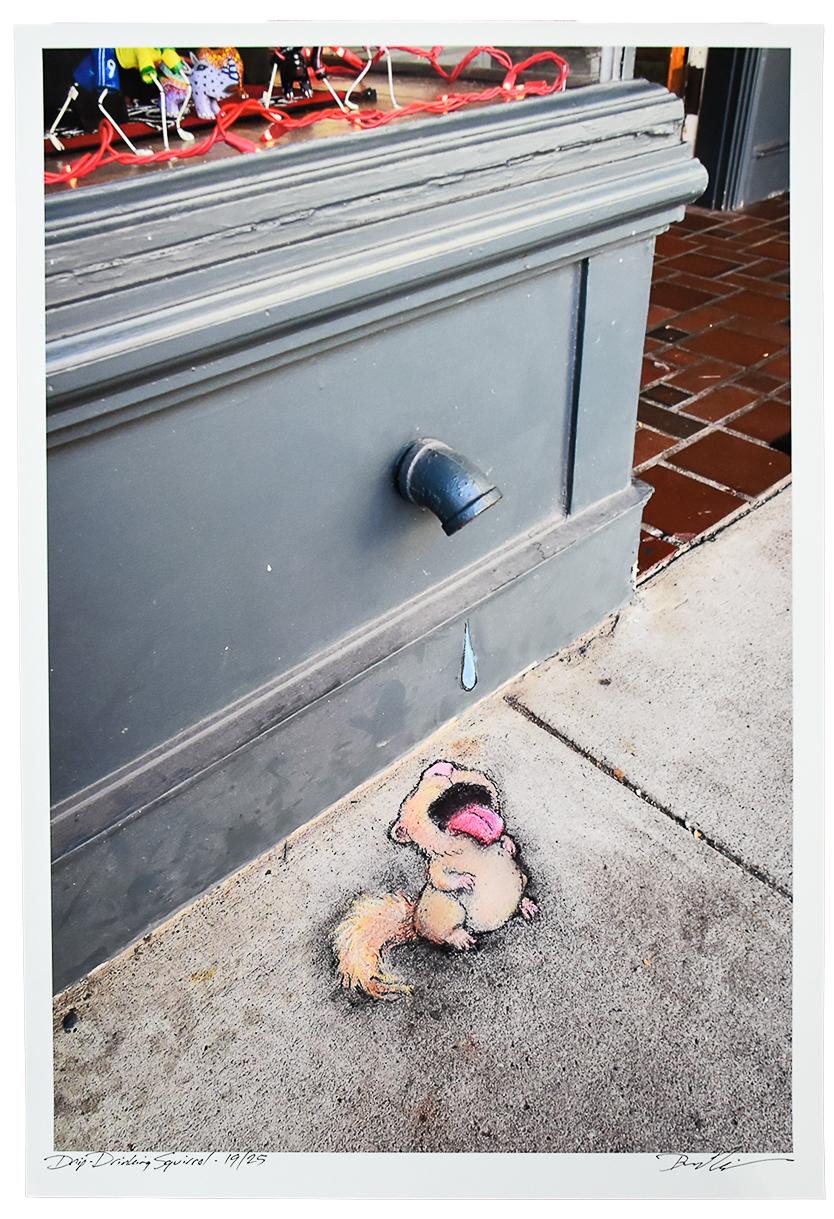 Drip Drinking Squirrel - Print by David Zinn