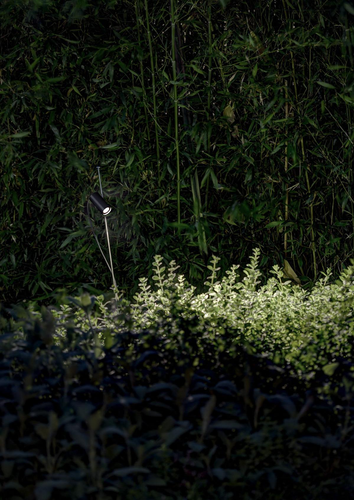 Un piccolo elfo luminoso che puoi installare in giardino o all'interno di un vaso.
Un gambo sottile conficcato nel terreno e un piccolo proiettore LED regolabile.
Per illuminare un fiore, una pianta o semplicemente per accompagnarci lungo un
