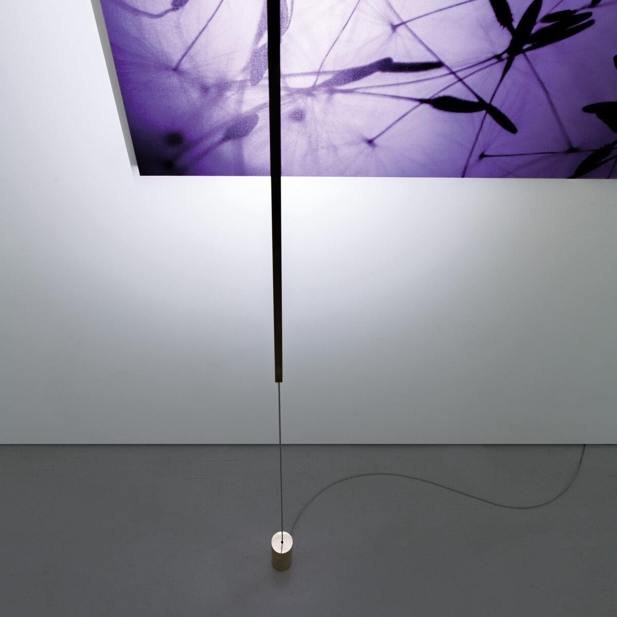 Davide Groppi MASAI floor lamp in Matt black by  Maurizio Mancini  For Sale 2