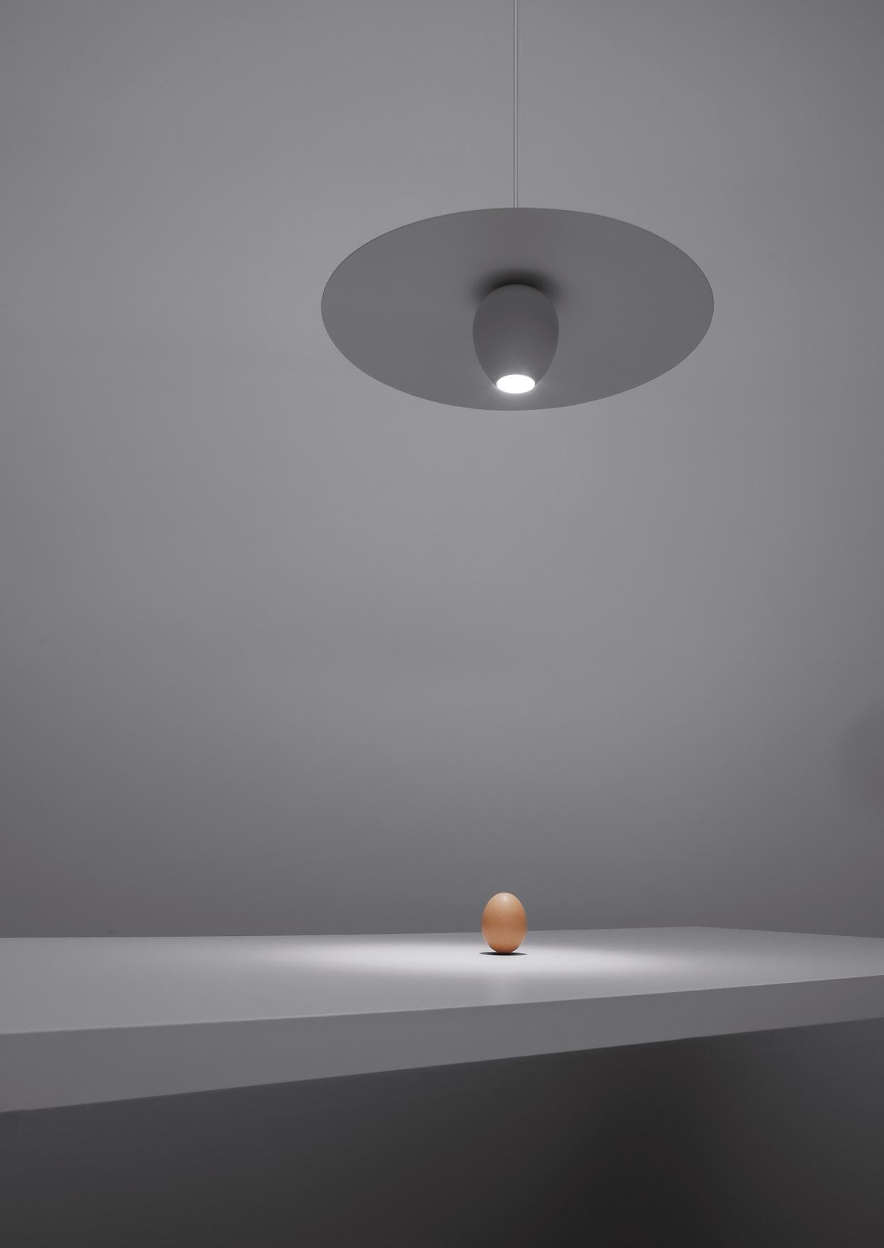 Use lighting as an ingredient in your meals by creating ambiance with the Ovonelpiatto Pendant. The shape of the pendant was inspired by an egg, one of the fundamental ingredients of the kitchen, set upon a curved plate.

Max 20W - 12V - GU4
120V -