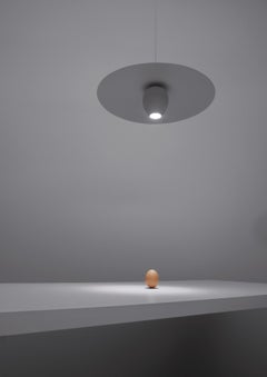 Lampe suspendue Davide Groppi OVONELPIATTO par Massimiliano Alajmo - Raffaele Alajmo