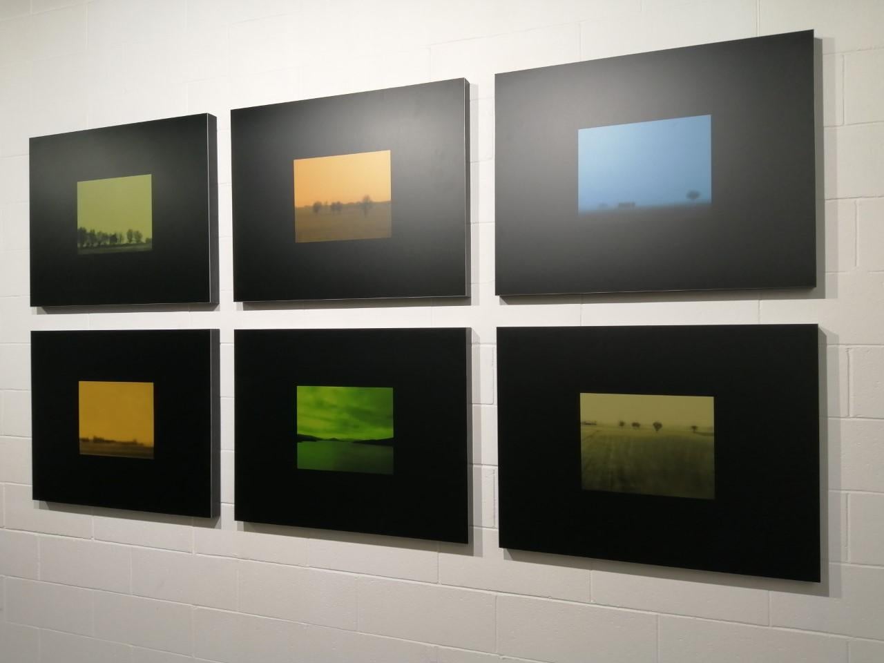 Colour Landscape, 2006 For Sale 1