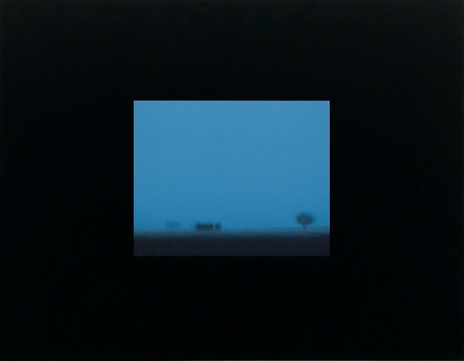Colour Landscape, 2006