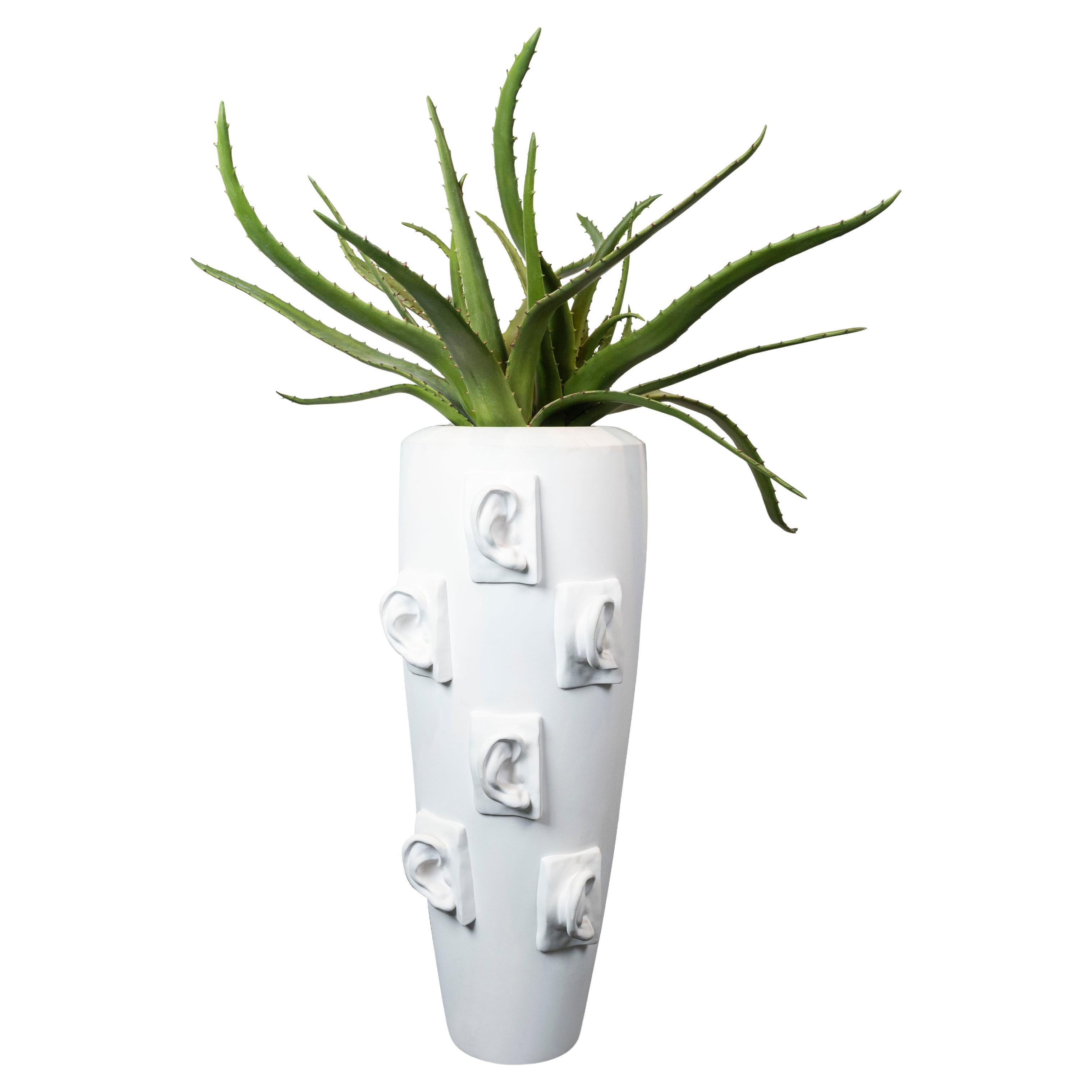 David's Ears Obice & Aloe Set Arrangement, Indoor Use, Italy For Sale