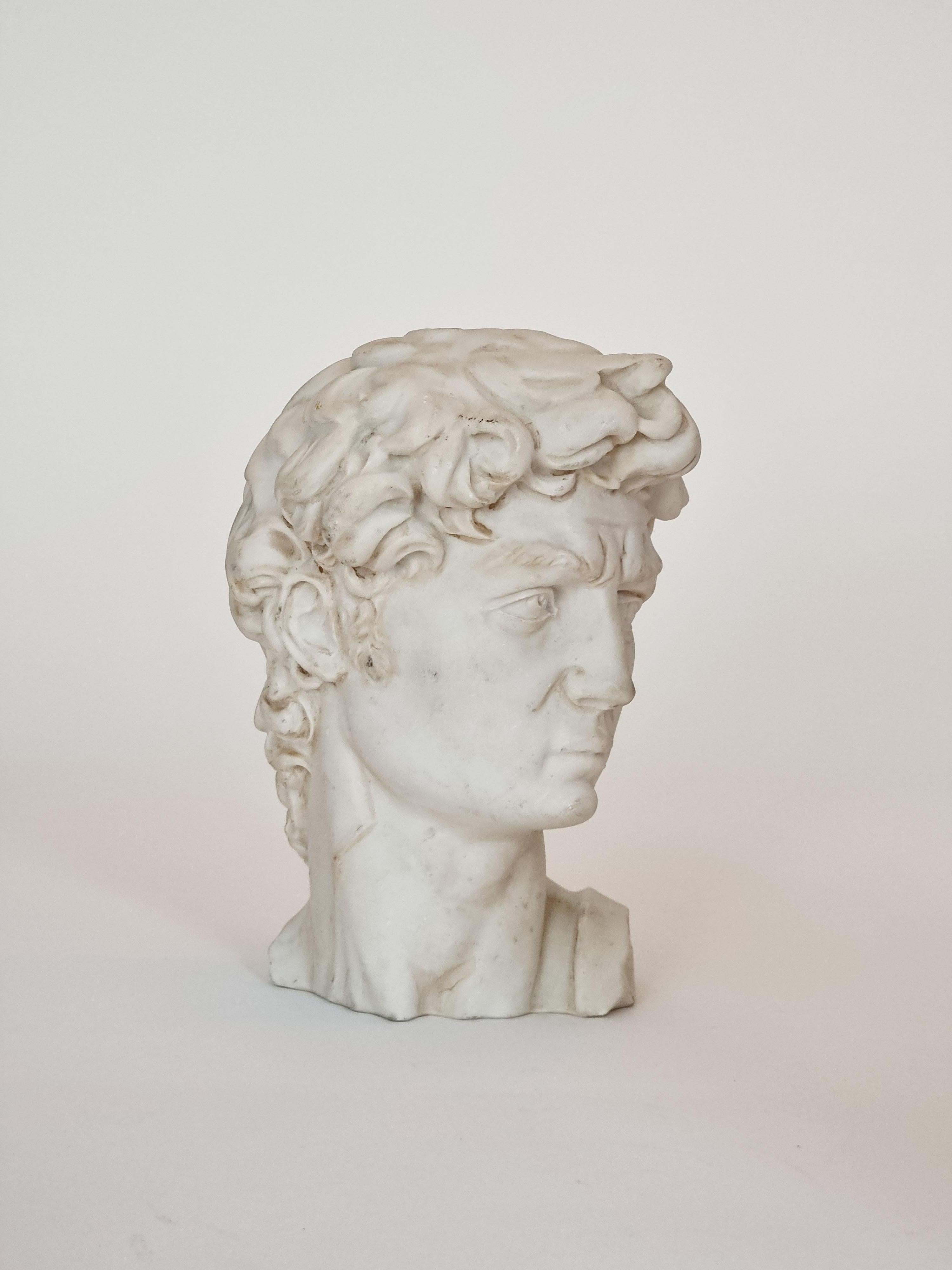 Una scultura/busto decorativo  della testa di David di Michelangelo, una copia della metà del XX secolo, realizzata in Italia. Marchio n. 1169 con stemma dell'aquila italiana.

Un bellissimo decoro per la libreria, il tavolino da caffè, il bagno