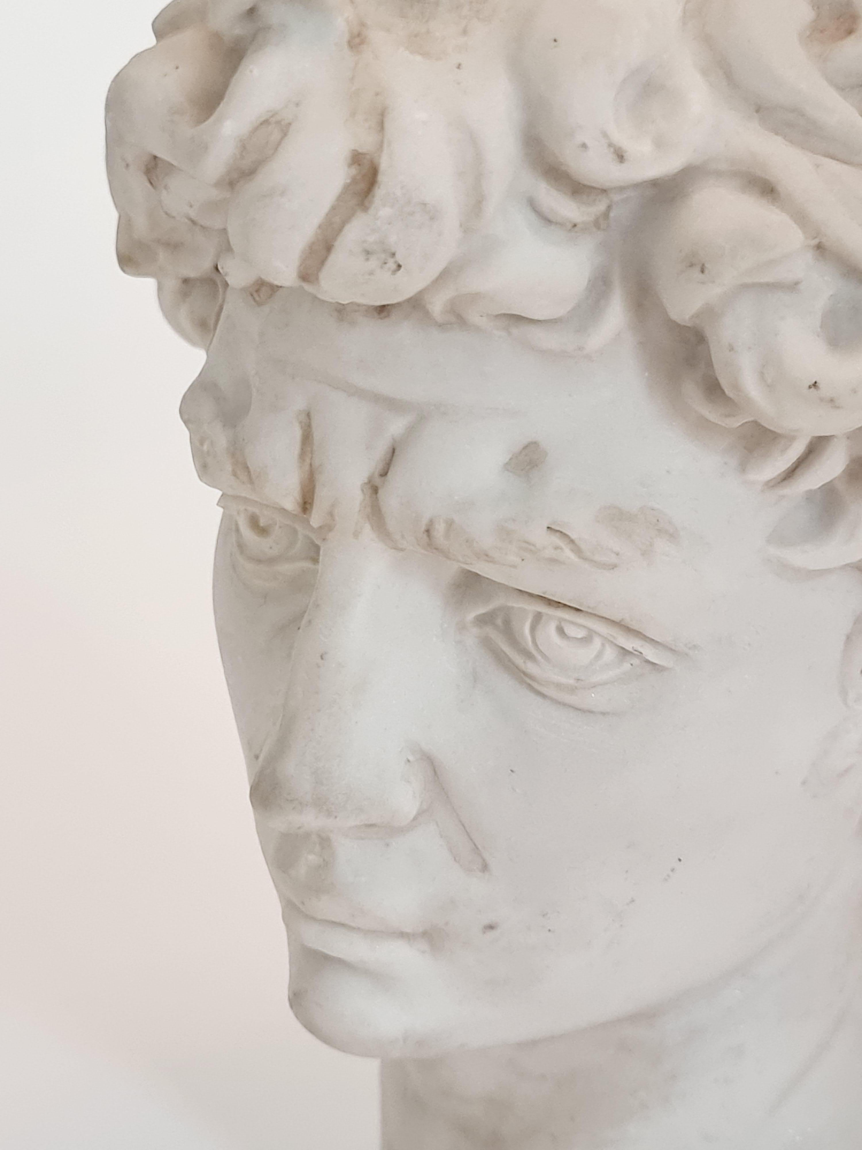 testa david michelangelo