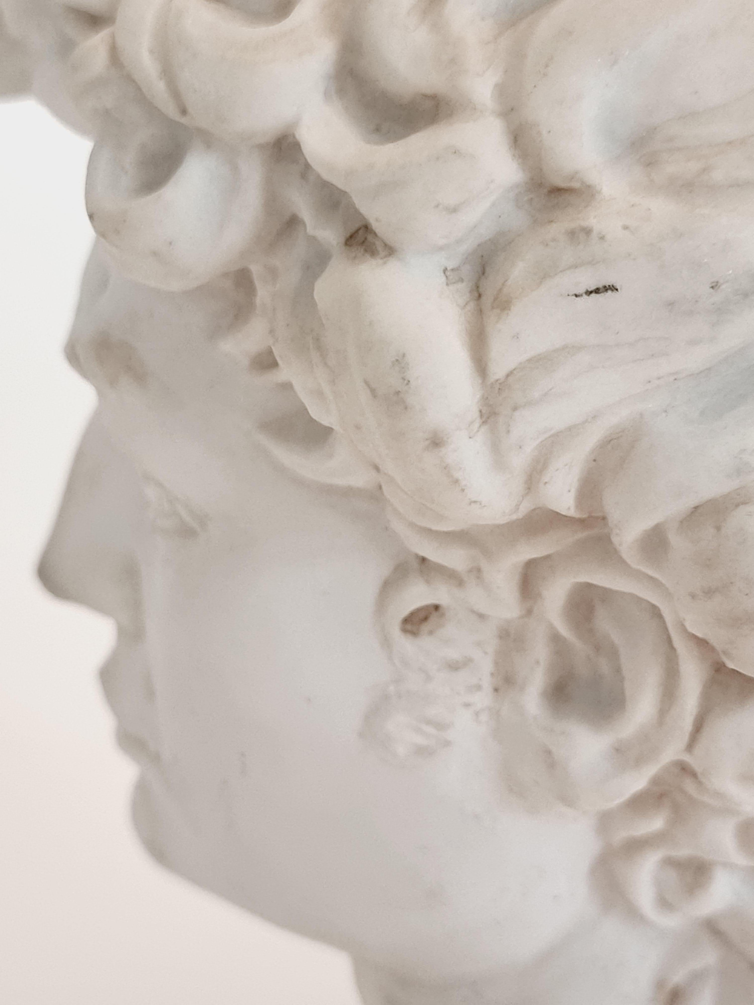 testa del david di michelangelo