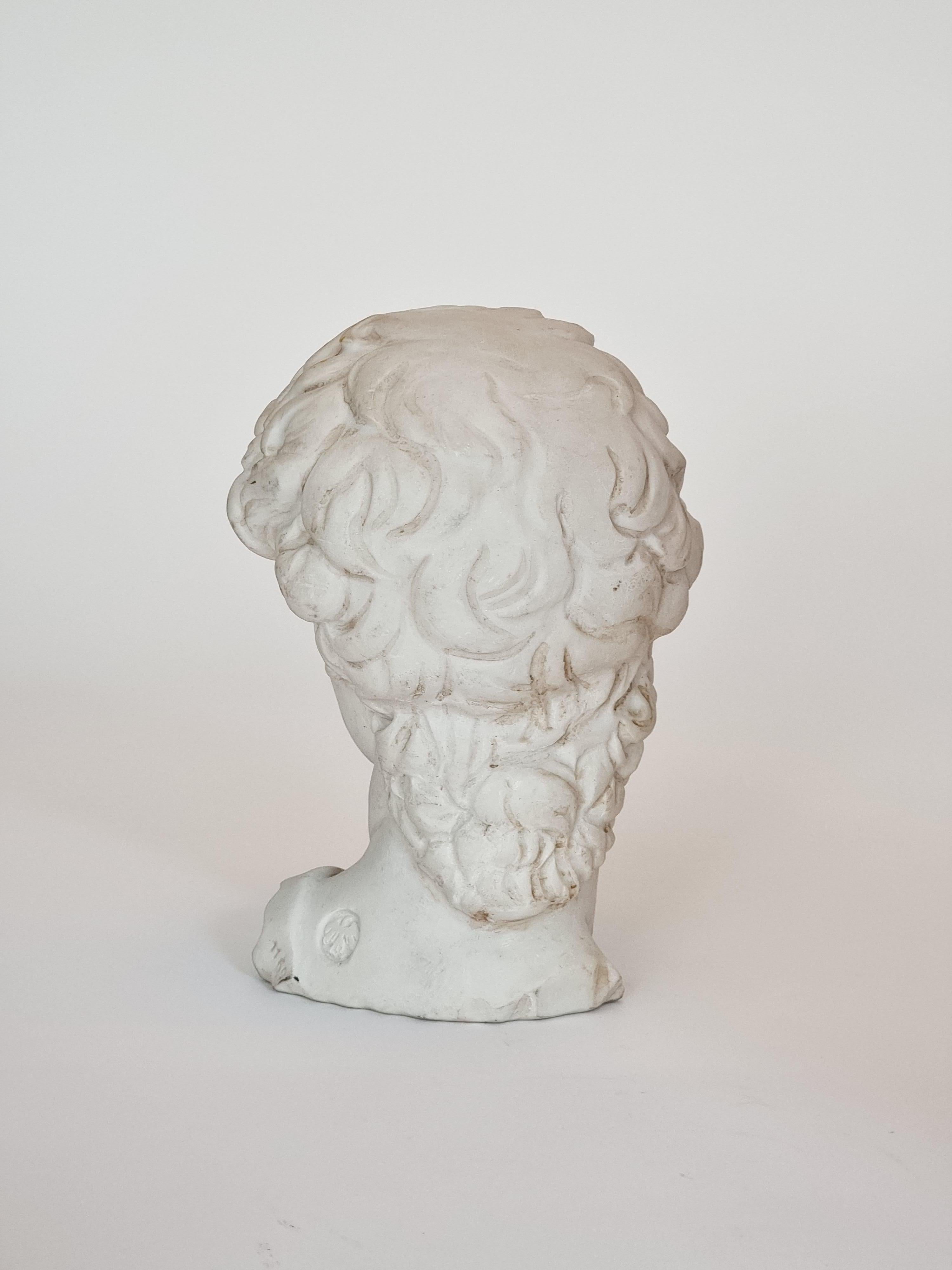 Testa di David, di Michelangelo, copia decorativa del XX secolo, Italia n. 1169. In condizioni buone in vendita a Stockholm, SE