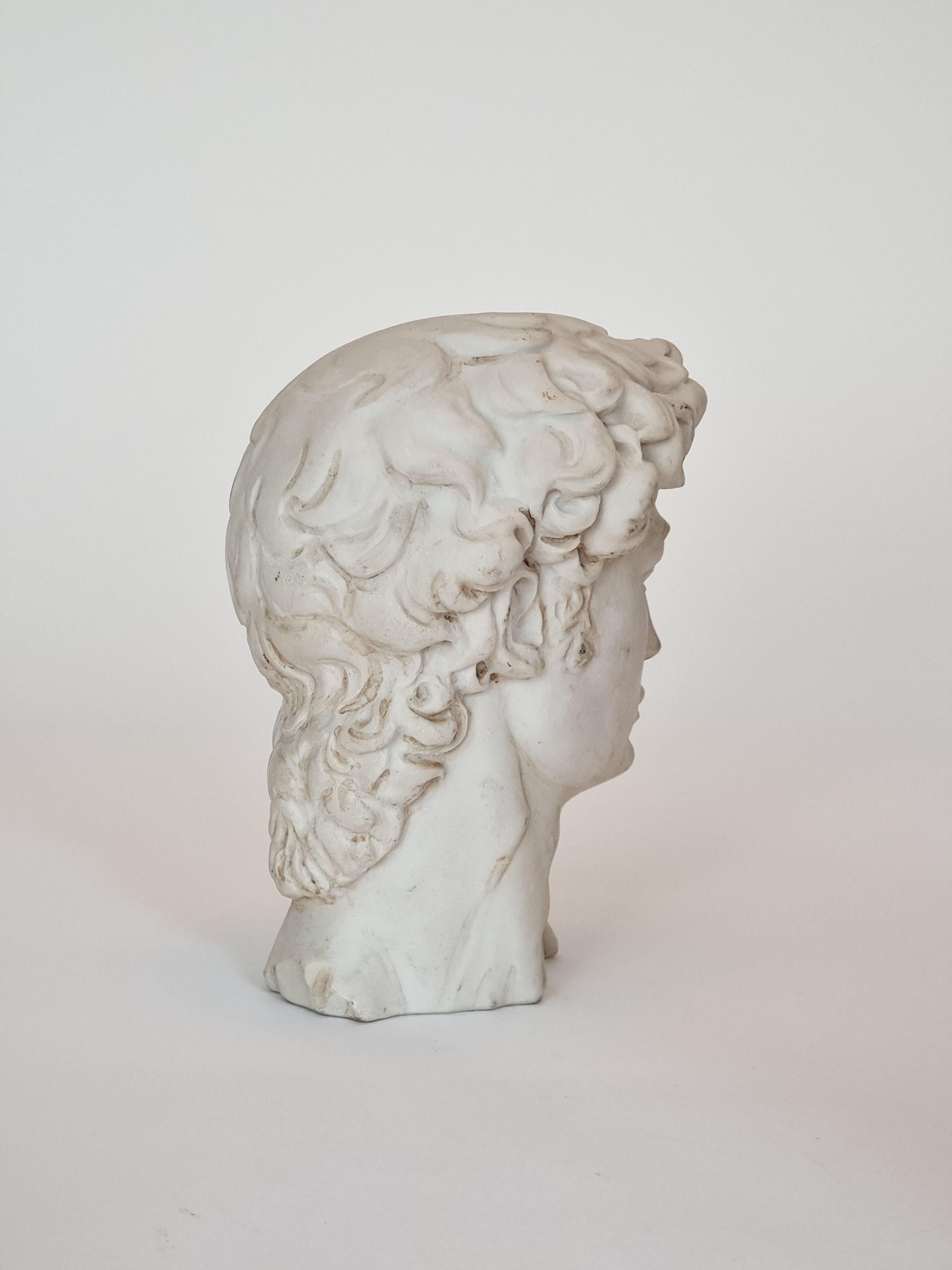 Pietra Testa di David, di Michelangelo, copia decorativa del XX secolo, Italia n. 1169. in vendita