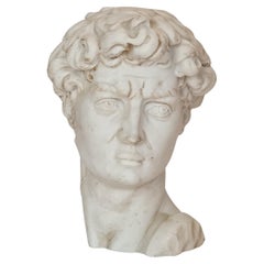 David's head, by Michelangelo, a decorative 20th Century copy, Italy no 1169.