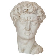 Der Kopf von David, von Michelangelo, eine dekorative Kopie des 20. Jahrhunderts, Italien Nr. 1169.