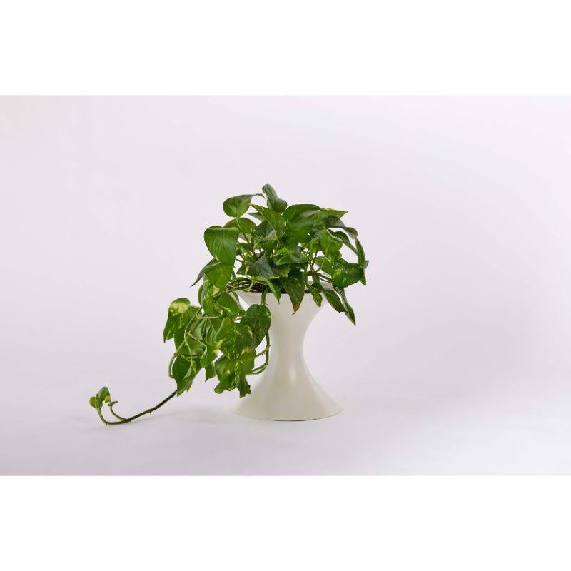 Modern Dawn Planter, White by Laun