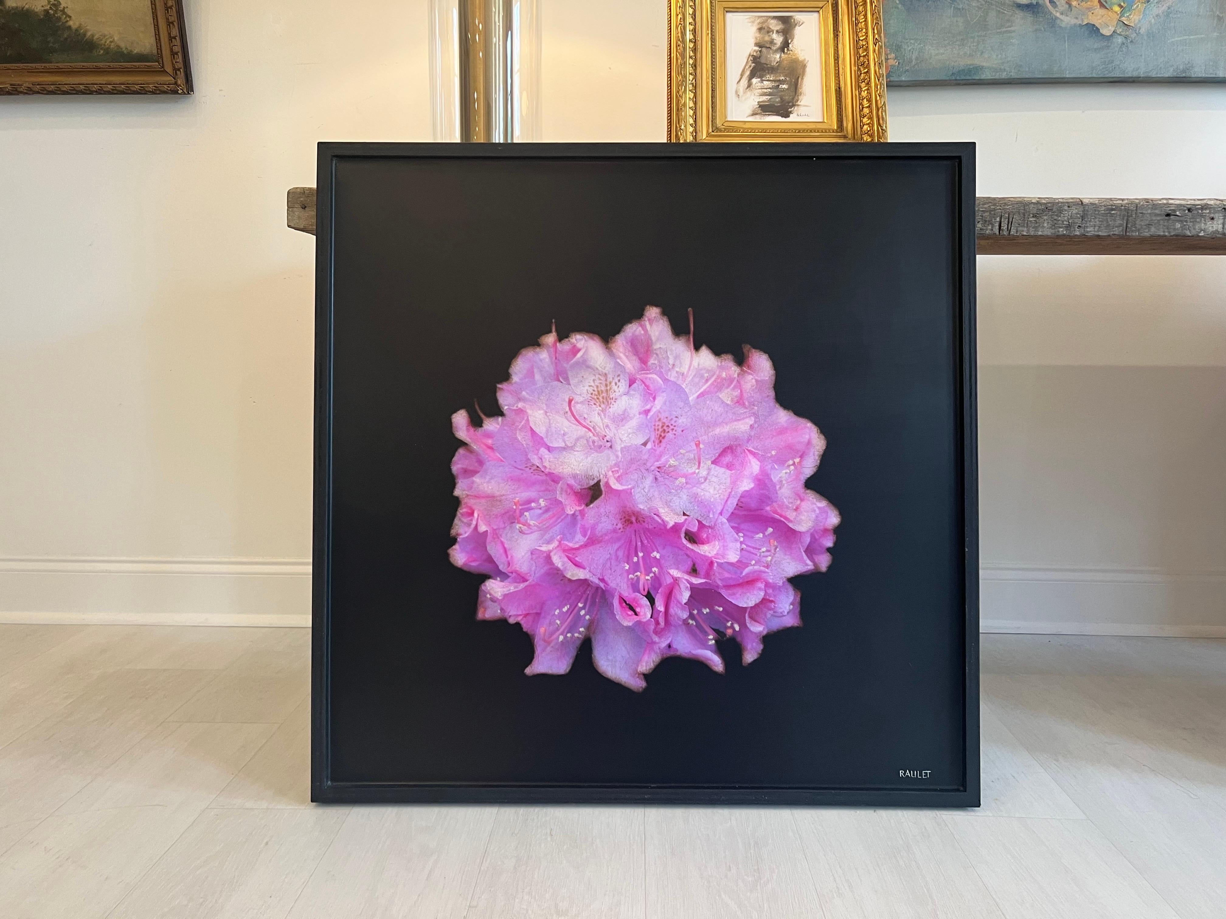 Amen Azalea by Dawne Raulet Petite Contemporary Mixed Media Fuscia Flower For Sale 1