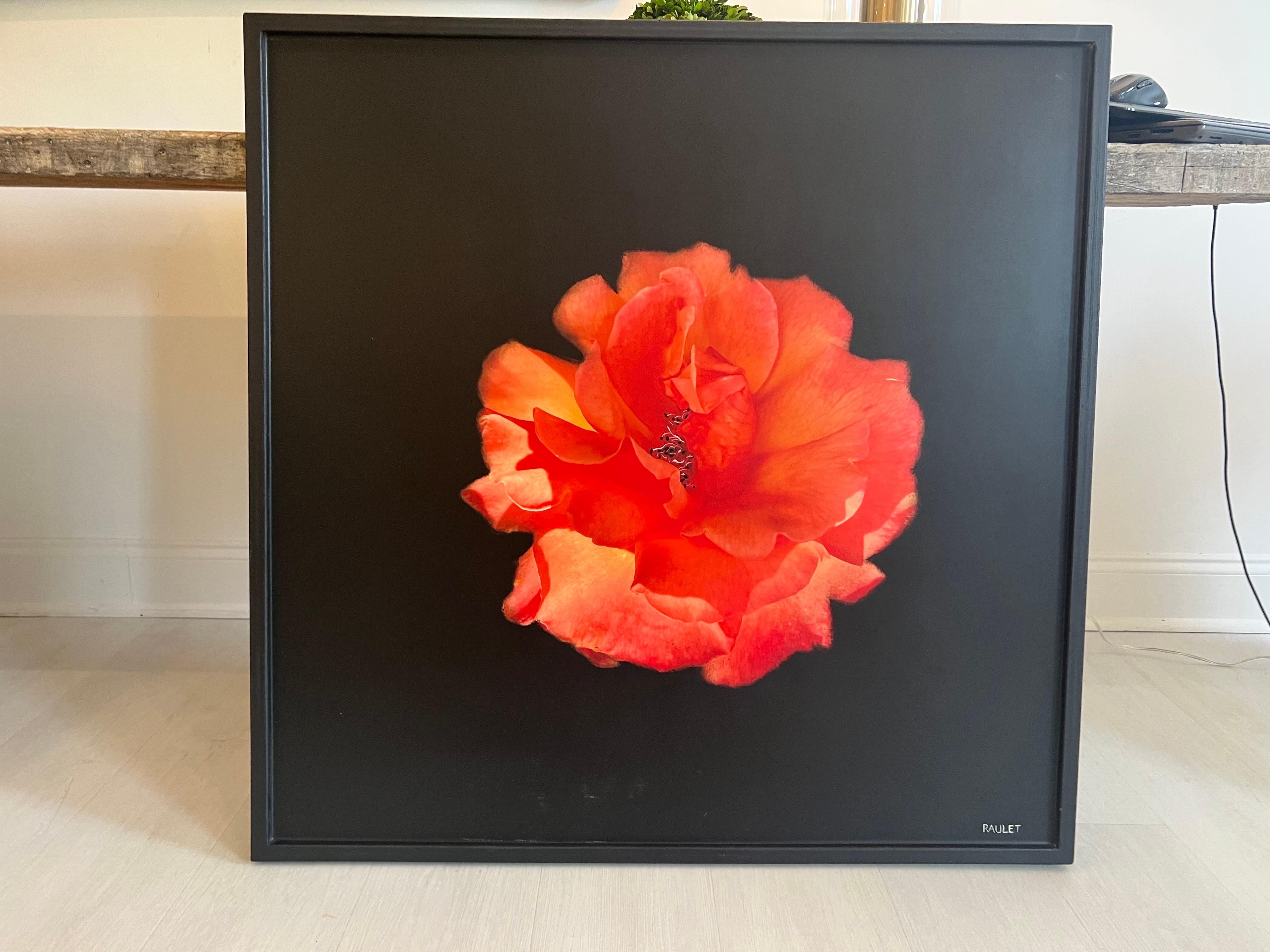 Beach Bloom by Dawne Raulet Petite Contemporary Mixed Media Red Orange Flower For Sale 1