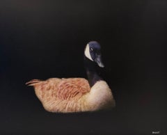 Bottoms Up, Buttercup by Dawne Raulet Contemporary Mixed Media, Oca, Black