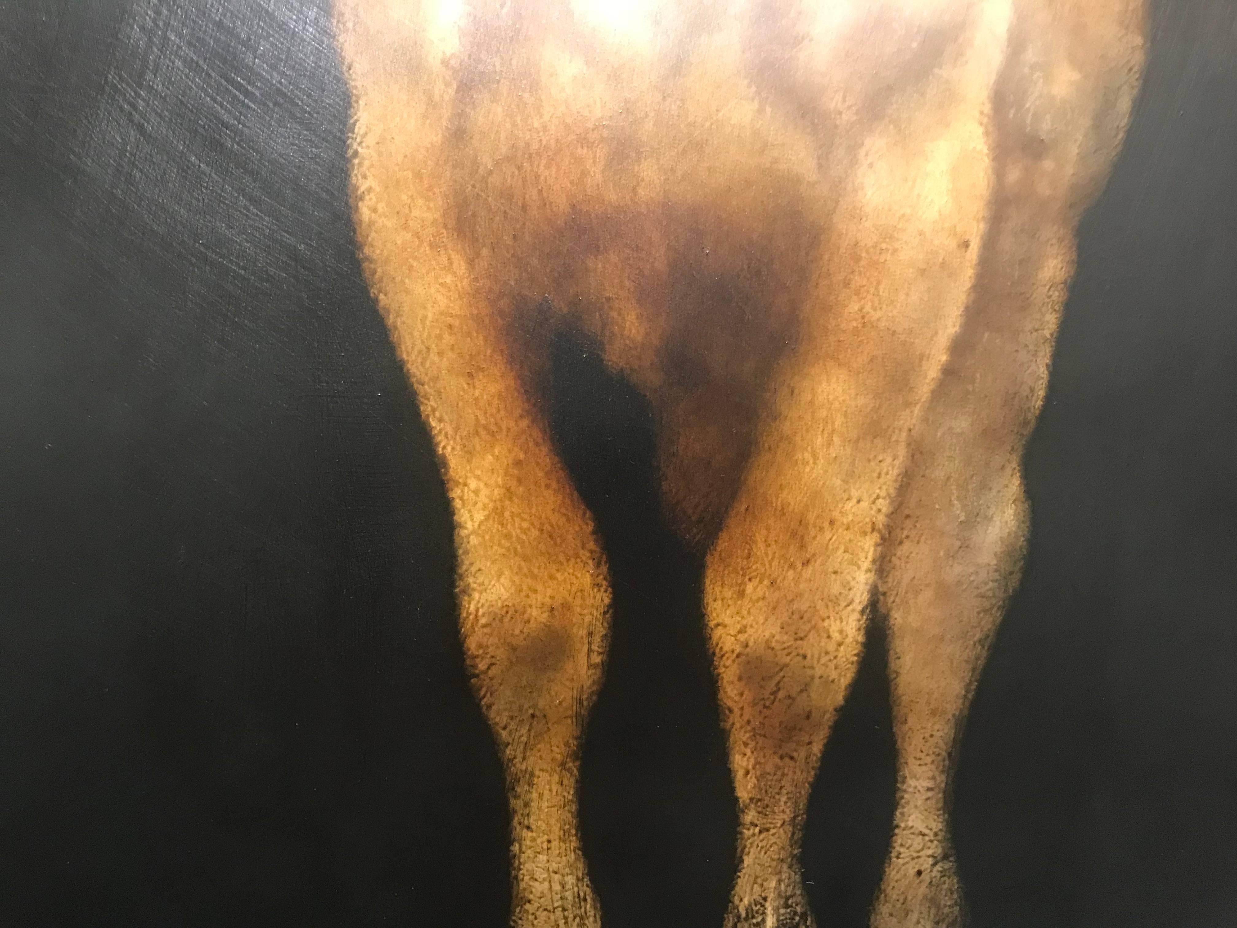 Bovine Belle, Contemporary Vertical Mixed Media on Board Figurative Cow Painting 4
