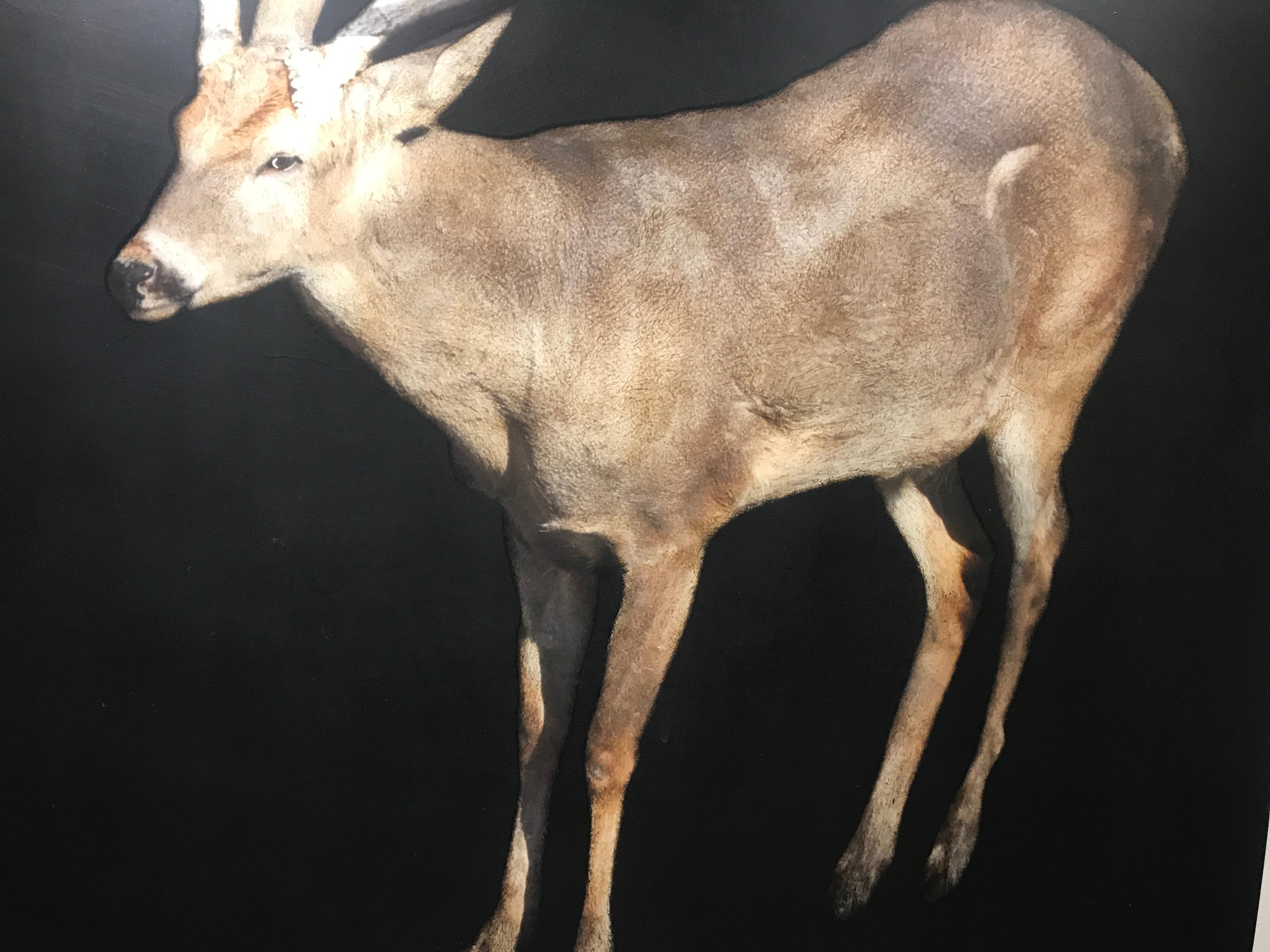 Buck by Dawne Raulet, Large Contemporary Framed Mixed Media on Board Painting 3
