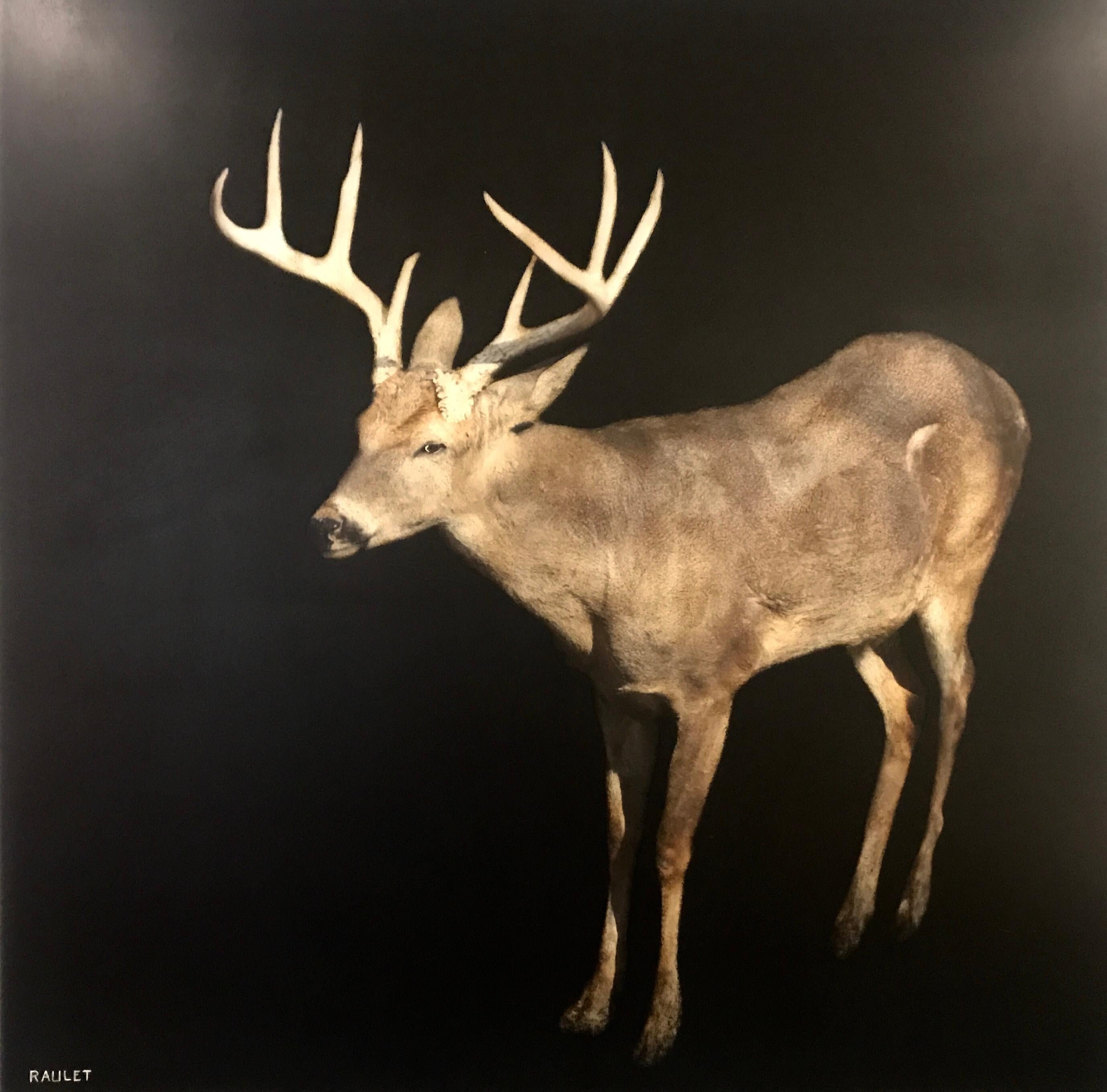 'Buck' is a large framed contemporary mixed media on board figurative painting created by American artist Dawne raulet in 2018. Painted on a dark background allowing our eye to embrace the scene beautifully, a majestic buck is seems to be moving