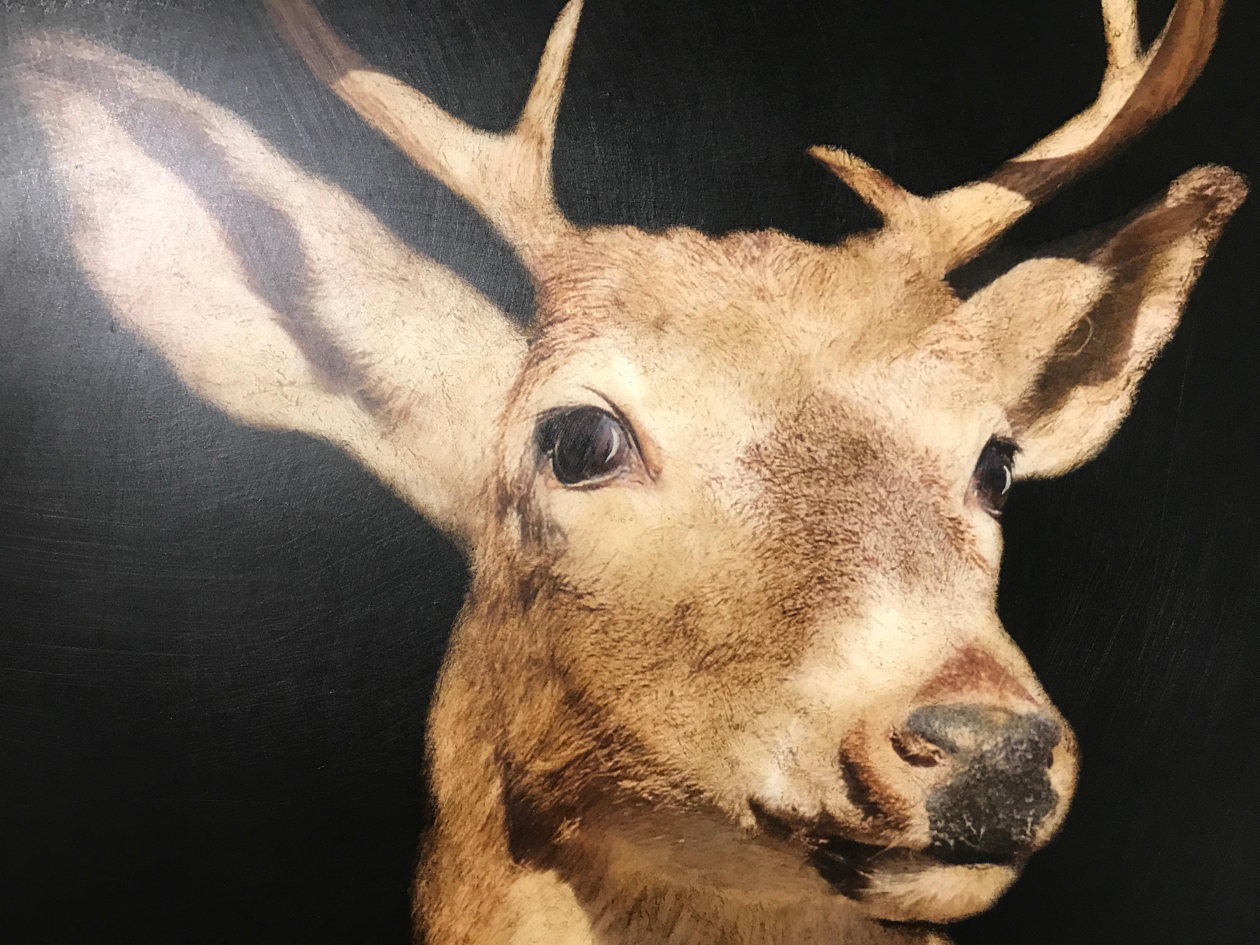 Buck Head by Dawne Raulet, Large Framed Mixed Media on Panel Animal Painting 3