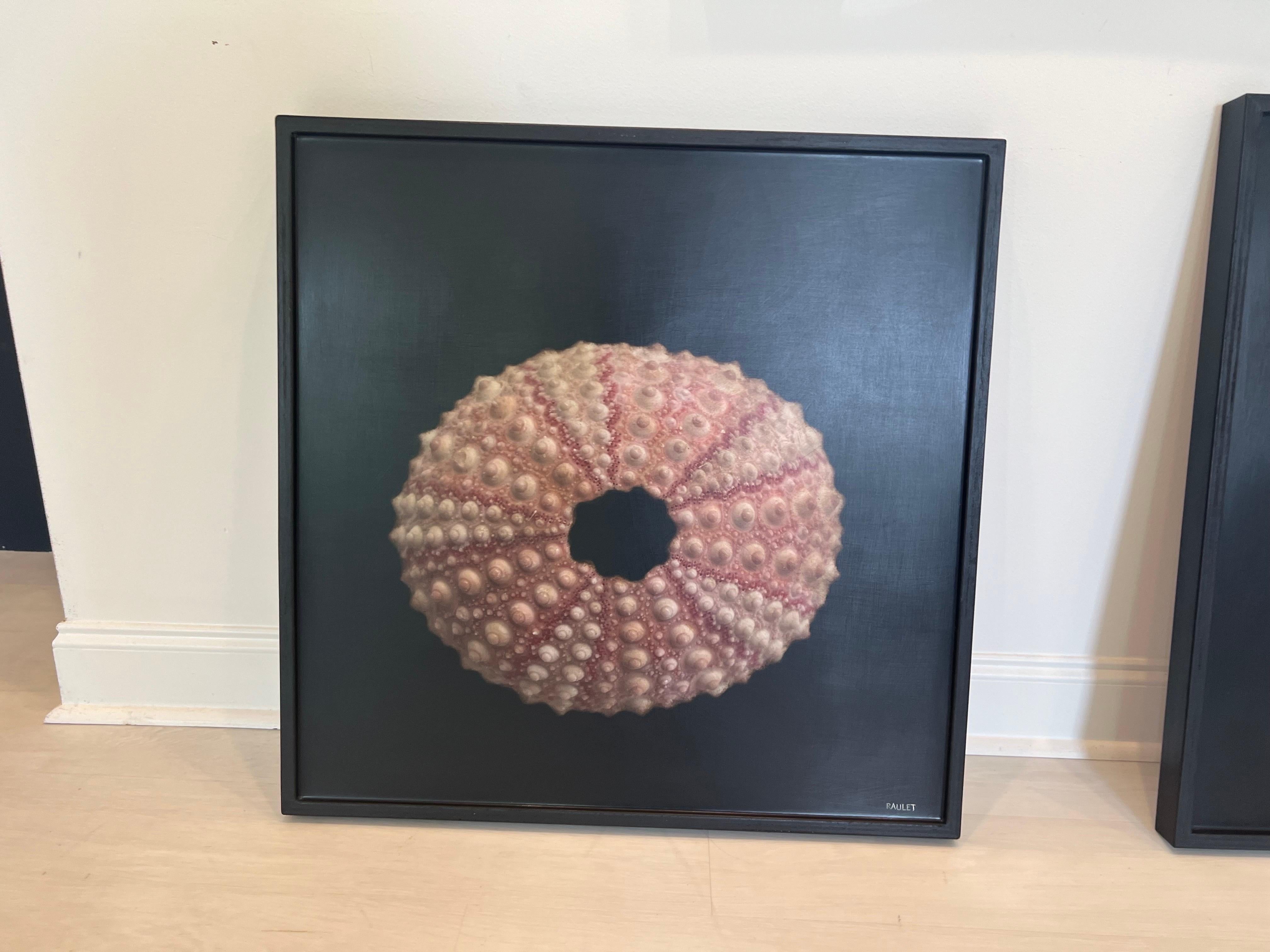 The SHORE von Dawne Raulet Petite Contemporary Mixed Media Sea Urchin 1
