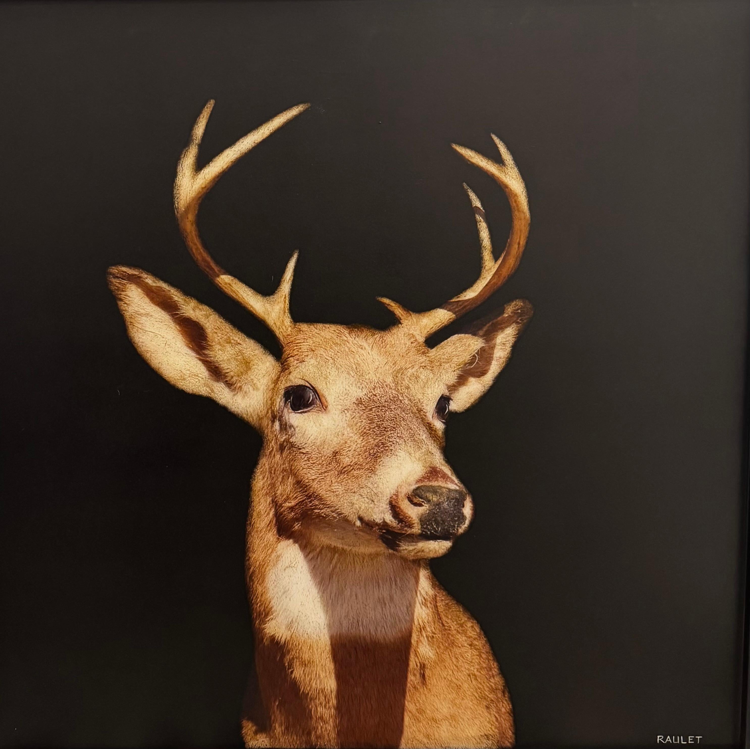 Contemporary Deer Painting in Mixed Media on Panel by Dawne Raulet