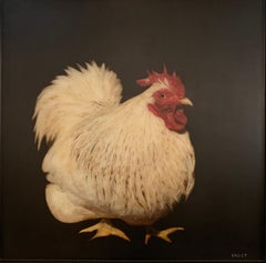 Coq-a-Doodle Do de Dawne Raulet:: peinture d'animaux contemporaine encadrée