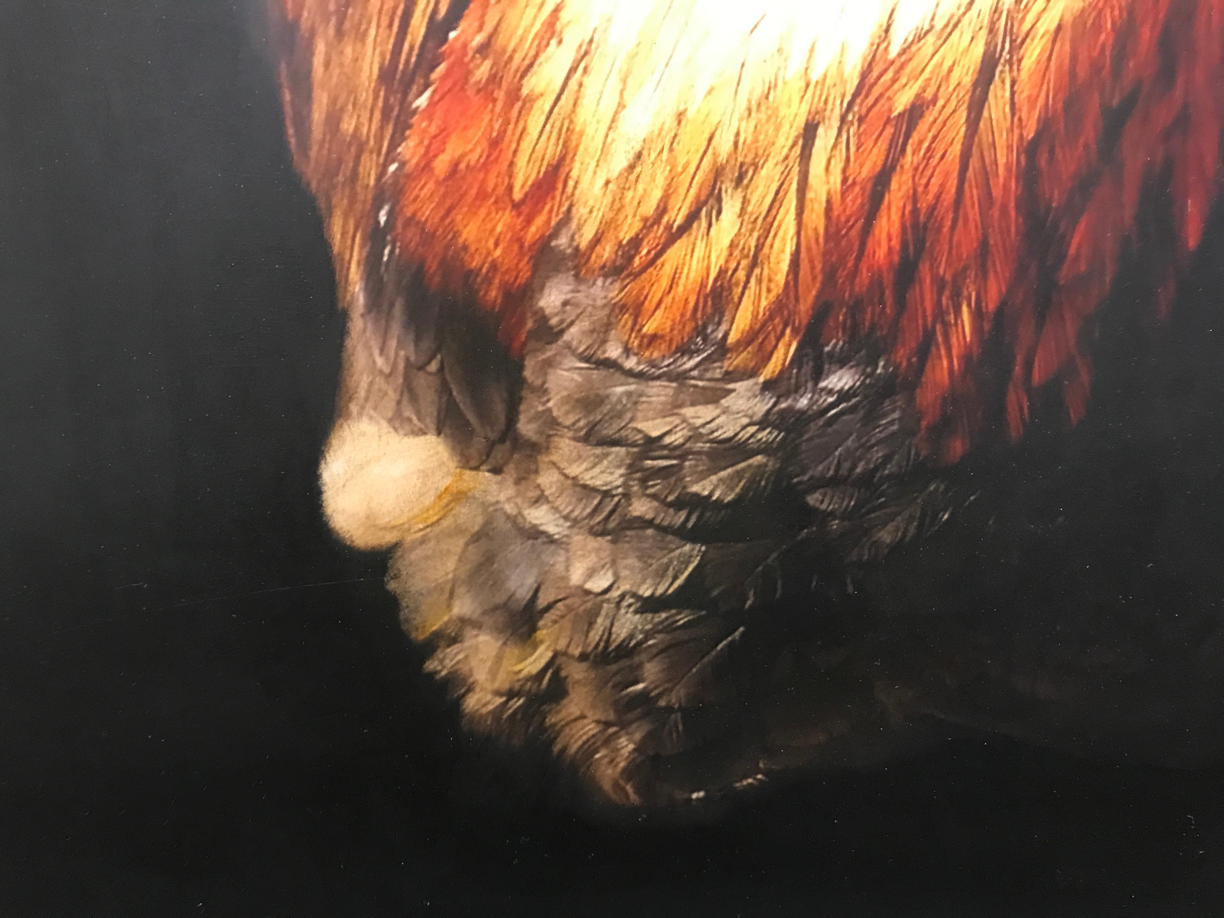 Crown and Coq by Dawne Raulet, Large Framed Contemporary Animal Painting 3