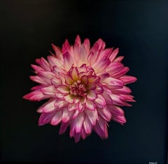 Dahlia Delight by Dawne Raulet Petite Contemporary Mixed Media Hot Pink Flower