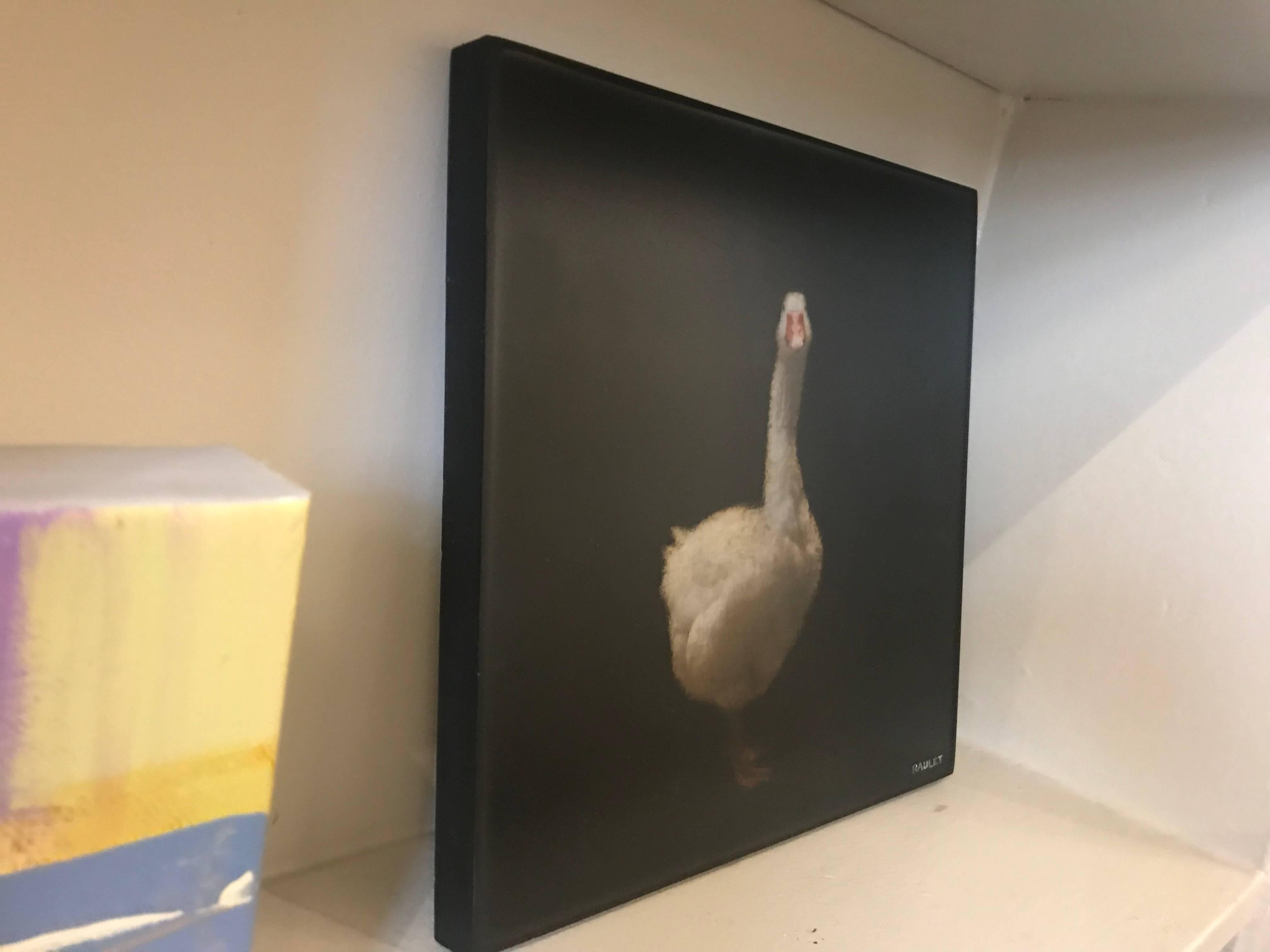 painted duck animal