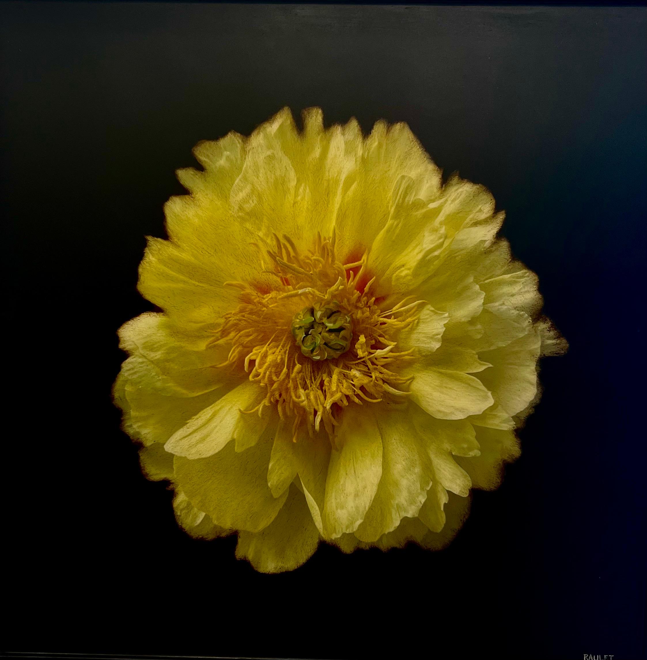 Fleur by Dawne Raulet Petite Contemporary Mixed Media Yellow Flower
