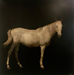 Kentucky Colt, Square Contemporary Mixed Media on Board Horse Painting