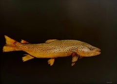 Large Coastal Fish Painting in Neutral Tones by Dawne Raulet