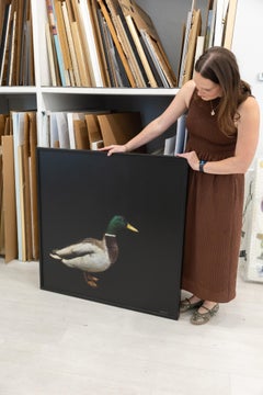 Large Duck Painting, Contemporary Animal Art, Mixed Media Panel