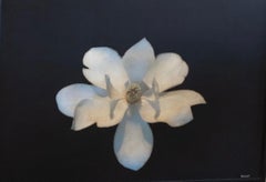 Magnolia at Midnight by Dawne Raulet Media mista floreale contemporanea, con Dawn Black