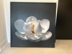 Magnolia Magic by Dawne Raulet Petite Contemporary Mixed Media White Flower