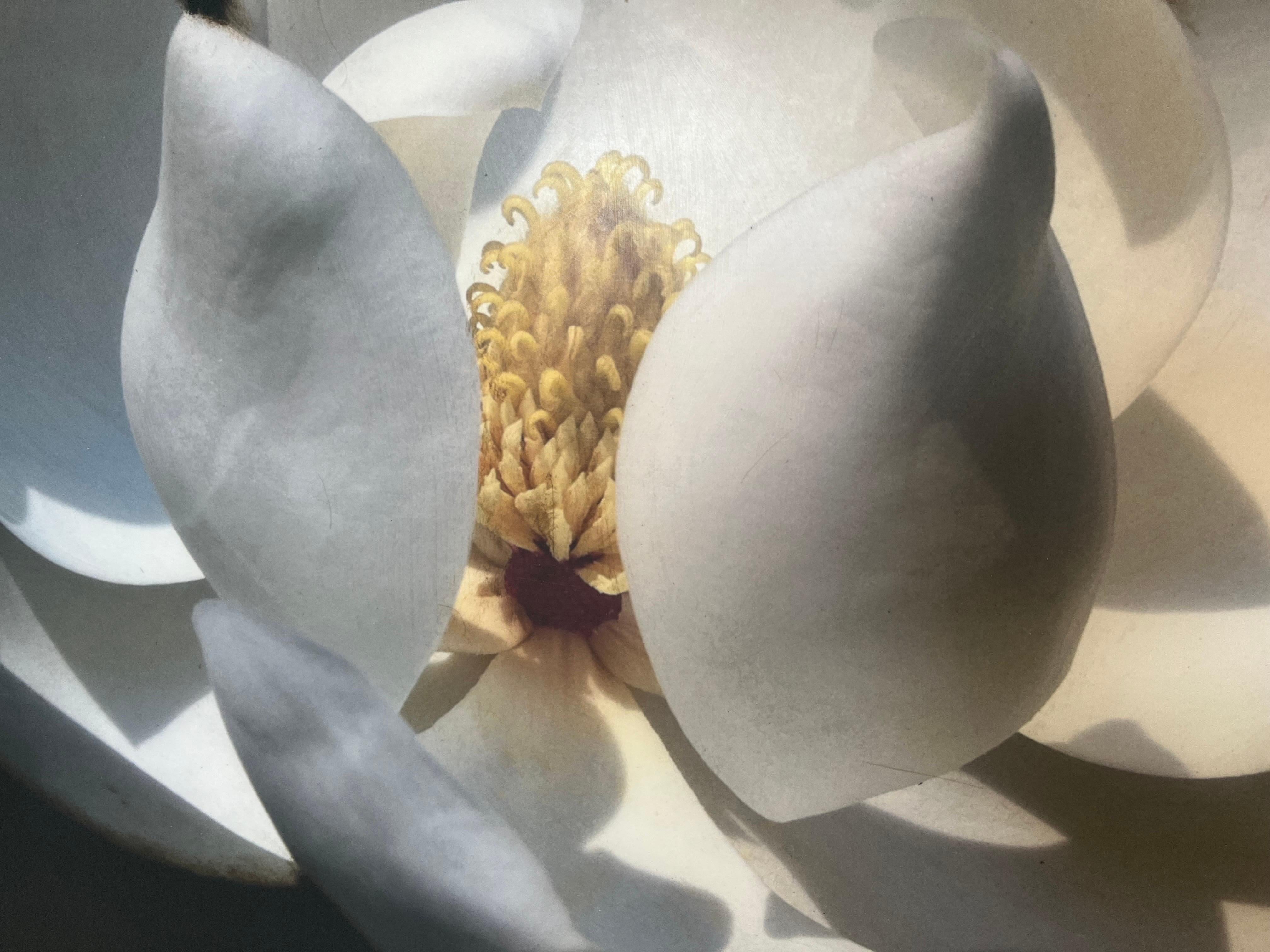 Magnolia Magic by Dawne Raulet Petite Contemporary Mixed Media White Flower 2