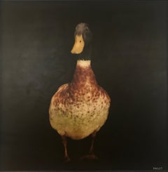 Mallard, Dawne Raulet 2018 Mixed Media on Board Contemporary Duck Painting