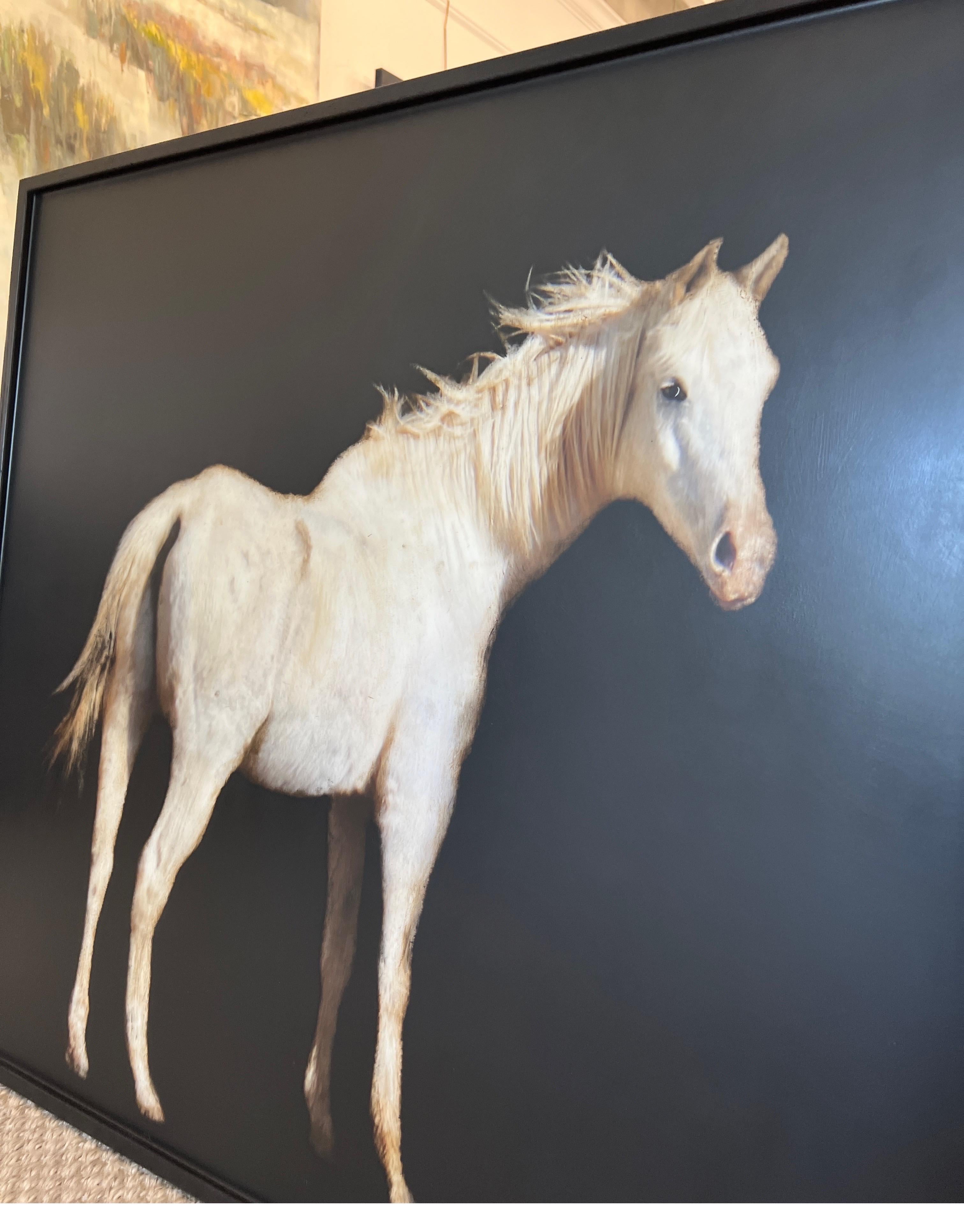 Mane Stay by Dawne Raulet Contemporary Horse Painting in White, Black 1