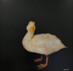 Moneypenny by Dawne Raulet Large Contemporary Mixed Media Duck Painting on Panel