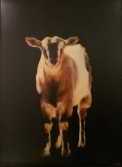 Ovis by Dawne Raulet, Large Vertical Mixed Media on Black Board Goat Painting