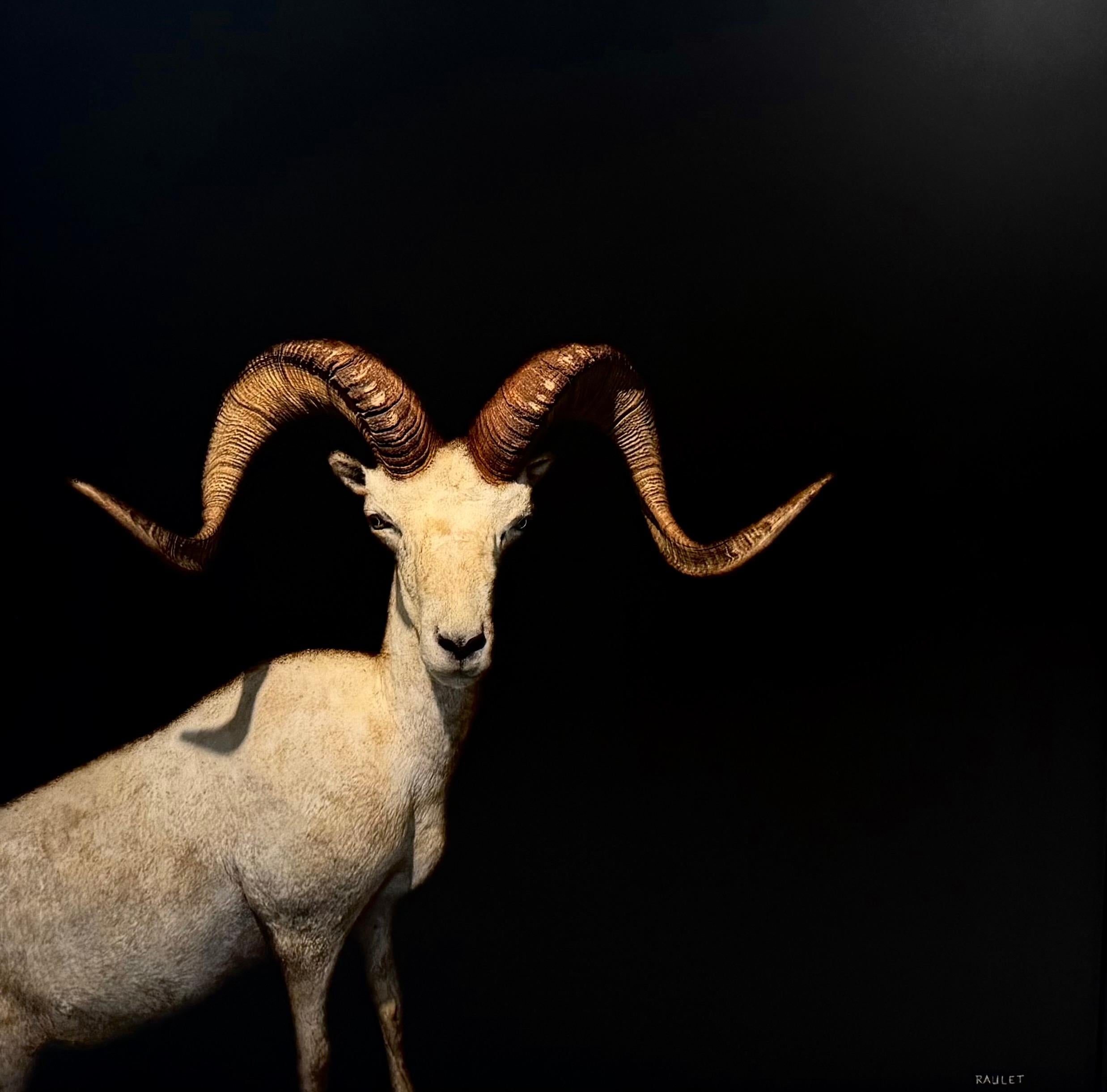 Bold, unexpected, and quietly commanding, Baa-d to the Bone by Dawne Raulet reimagines the traditional animal portrait with a distinctly modern edge. This 40 x 40 inch mixed media painting on panel features a striking ram set against a deep, inky