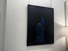 Royal Display di Dawne Raulet Contemporary Mixed Media, Pavone su tavola