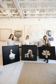 Ruffled Feathers by Dawne Raulet Contemporary Goose Mixed Media, White, Black