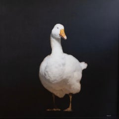 Ruffled Feathers by Dawne Raulet Contemporary Goose Mixed Media, White, Black