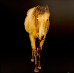 Stirrup Trouble by Dawne Raulet Large Contemporary Horse Painting on Panel