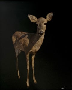Sven by Dawne Raulet Contemporary Deer Mixed Media with Black, White